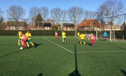 Gelijkspel voor Fortuna Sittard G