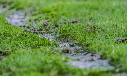 VVCS Veldencompetitie